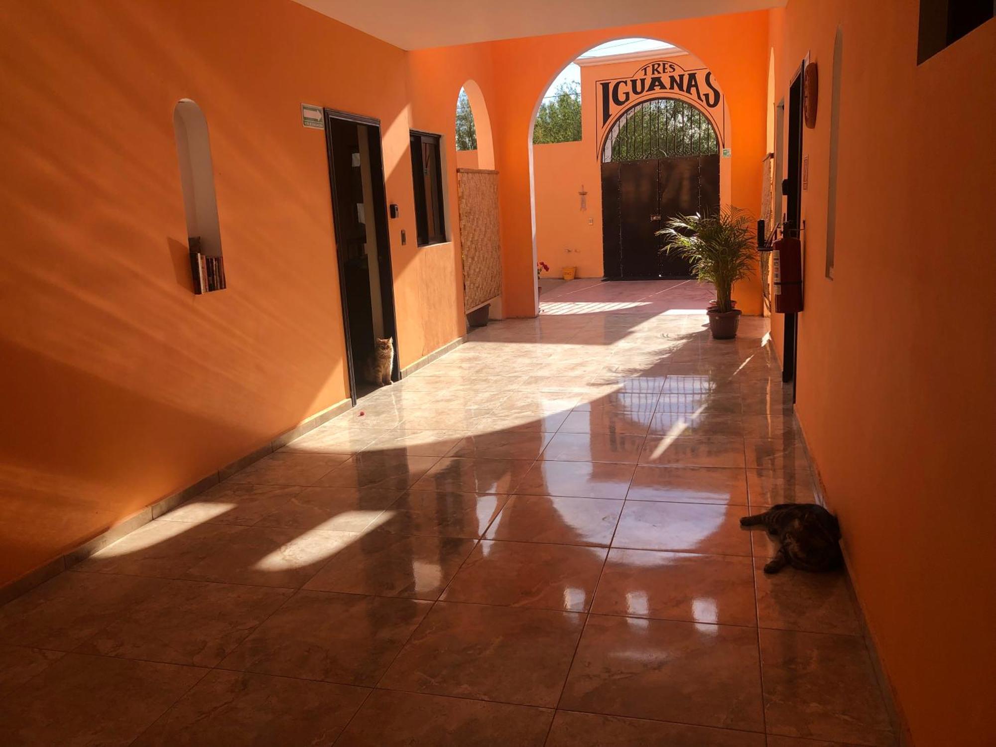 Tres Iguanas Apart Hotel - New, Cozy & Spacious Flats, Short Walk To Beach Loreto  Exterior foto