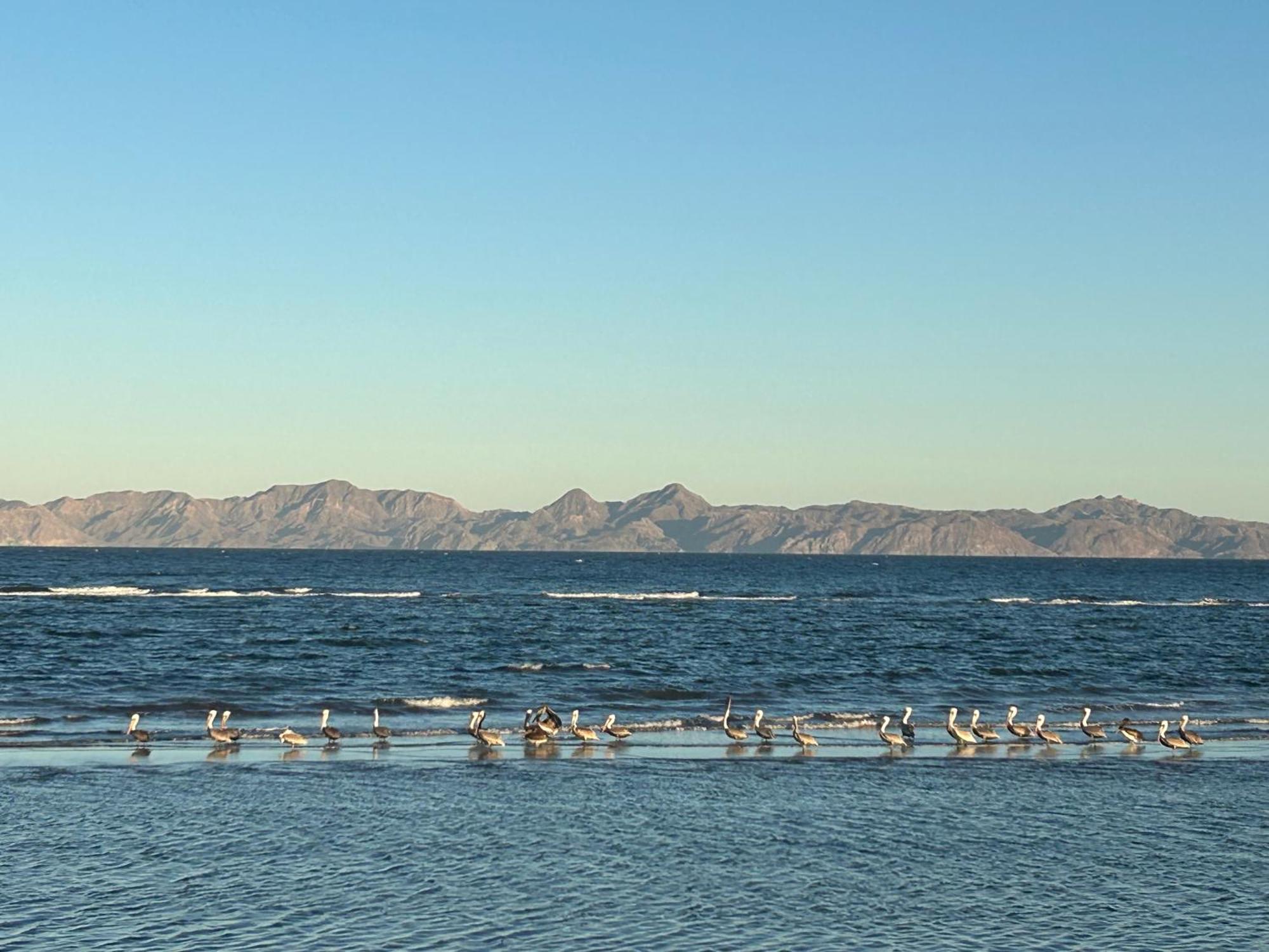 Tres Iguanas Apart Hotel - New, Cozy & Spacious Flats, Short Walk To Beach Loreto  Exterior foto