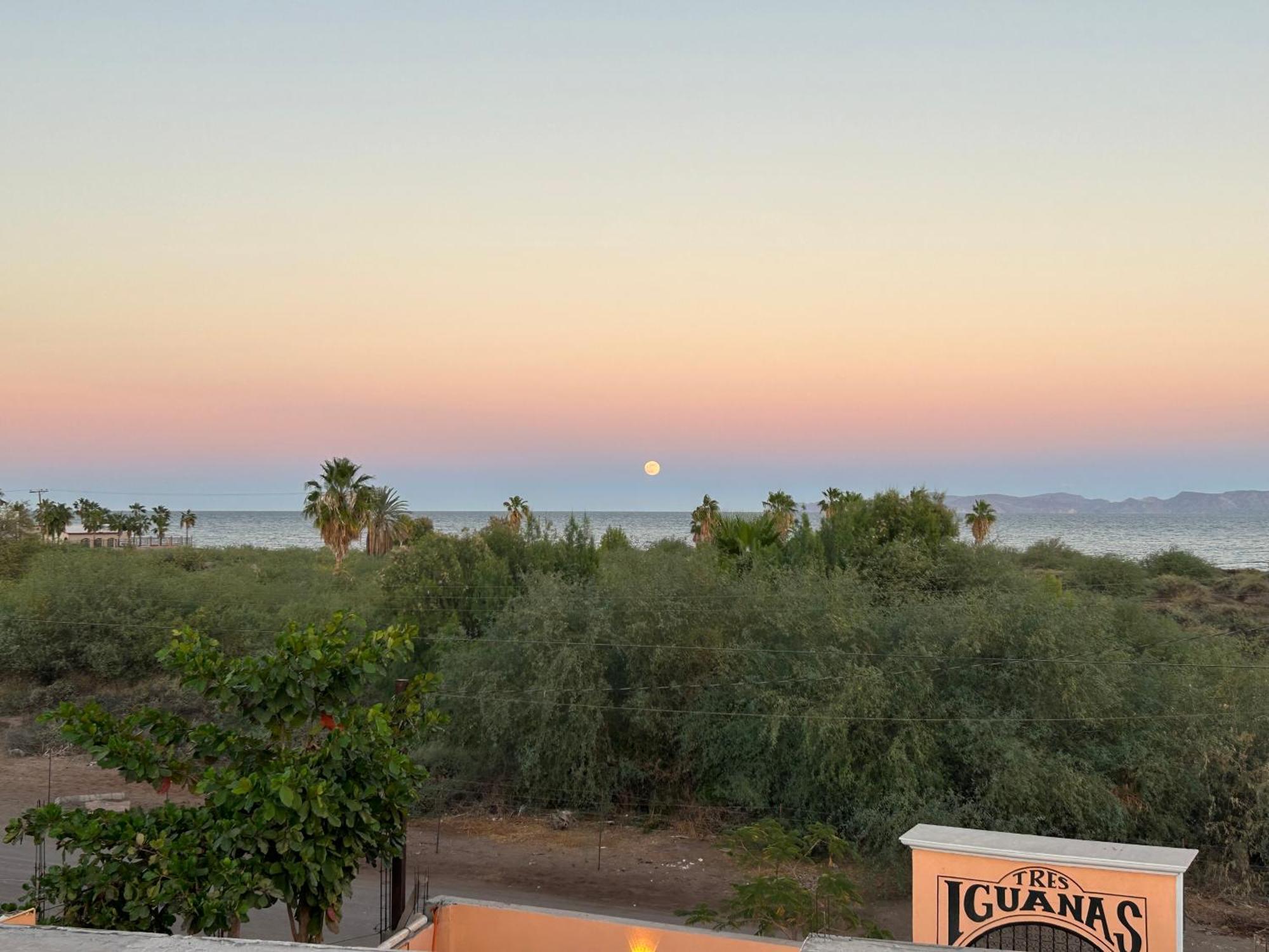 Tres Iguanas Apart Hotel - New, Cozy & Spacious Flats, Short Walk To Beach Loreto  Exterior foto